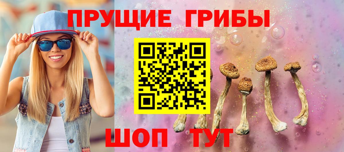 Псилоцибиновые грибы Psilocybe Пятигорск