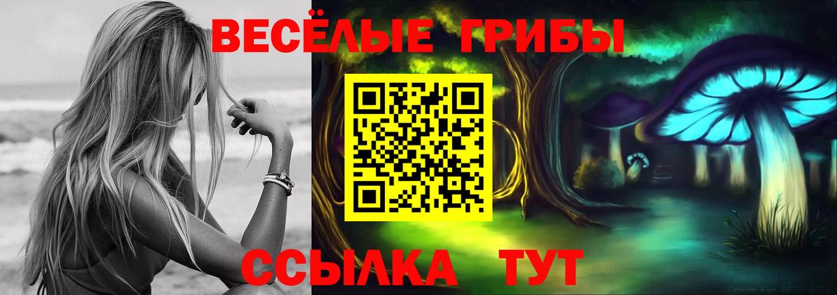 Галлюциногенные грибы Cubensis  Вход с VPN  Пятигорск 