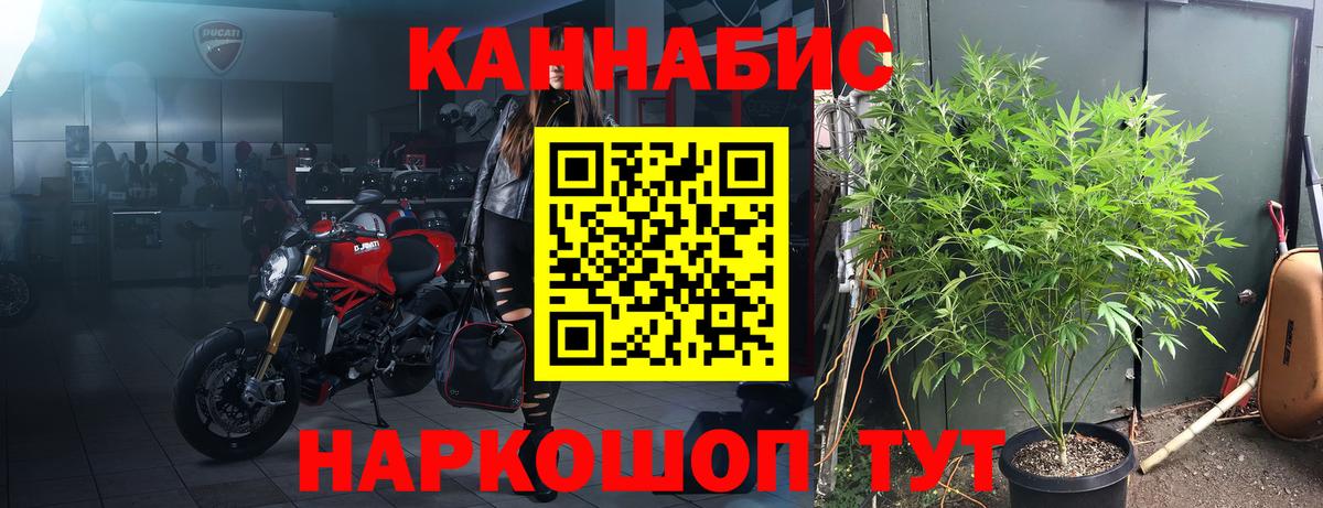 Конопля конопля  Вход с VPN  Марихуана ГИДРОПОН  МАРИХУАНА THC 21%  Пятигорск 